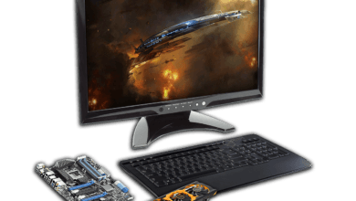 Función de las tarjetas de video