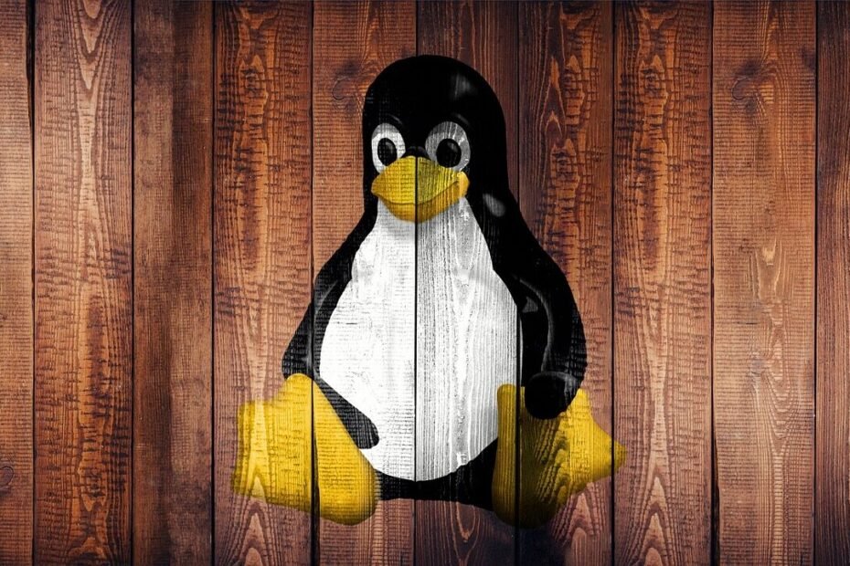 Ventajas y Desventajas de Linux